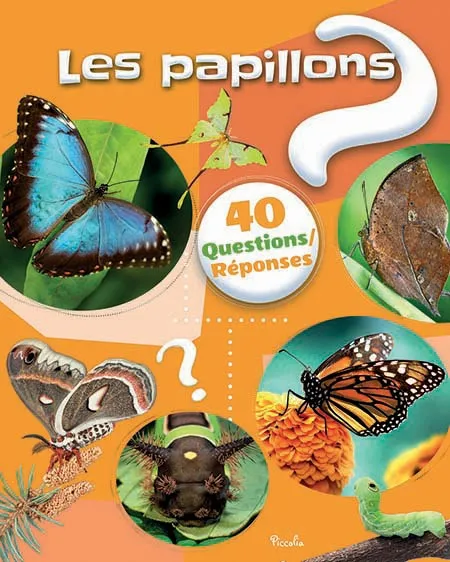40 questions/réponses papillons