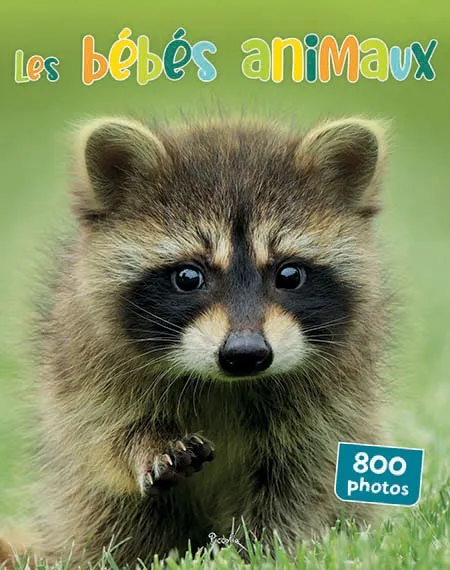 800 photos bébés animaux