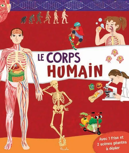 Corps humain