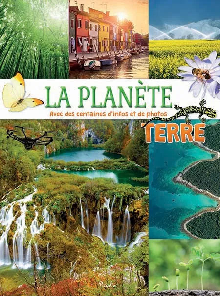 Planète Terre picco