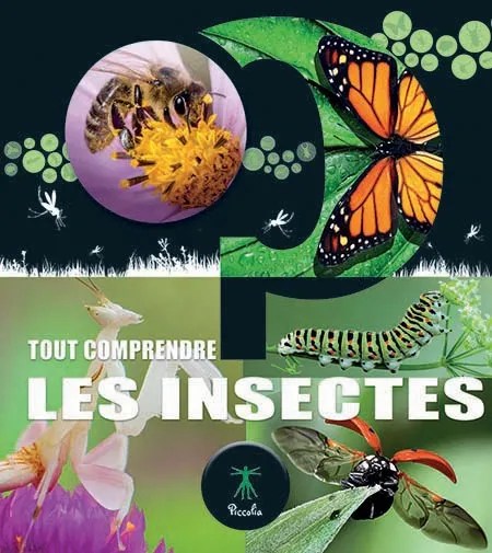 Tout comprendre insectes
