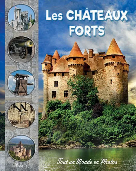 Tout un monde en photos châteaux forts
